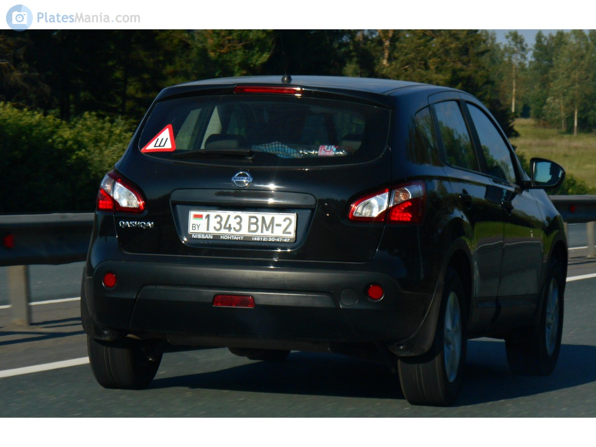 8645395.jpg