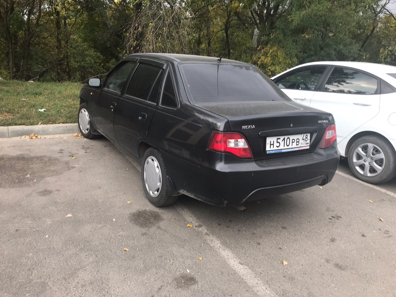 Магазин Нексия Липецк