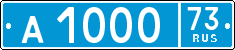License plate Russia, Police cars