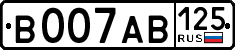 License plate Russia, Cars