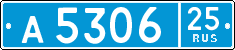 License plate Russia, Police cars
