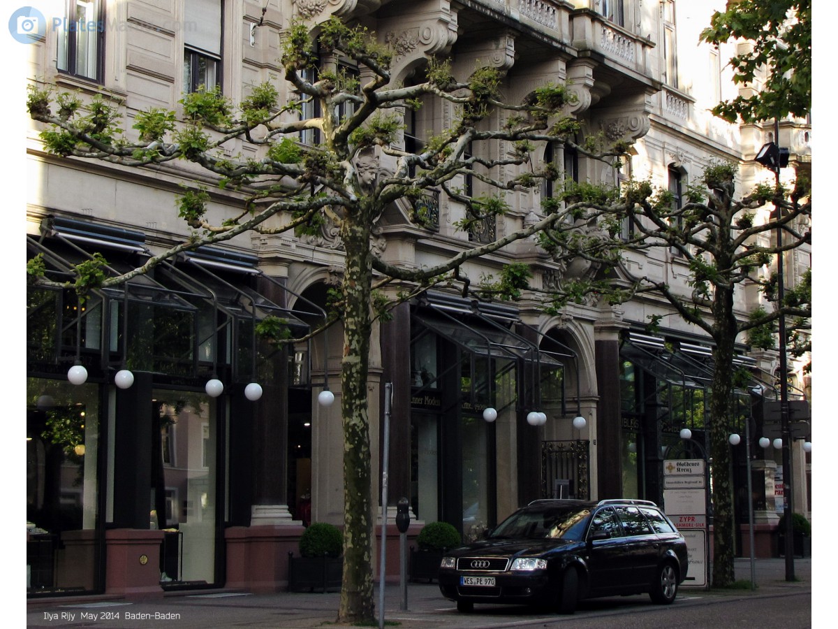 WES PE 970, Audi A6 2nd gen Avant (C5/4B5), 1997–2004