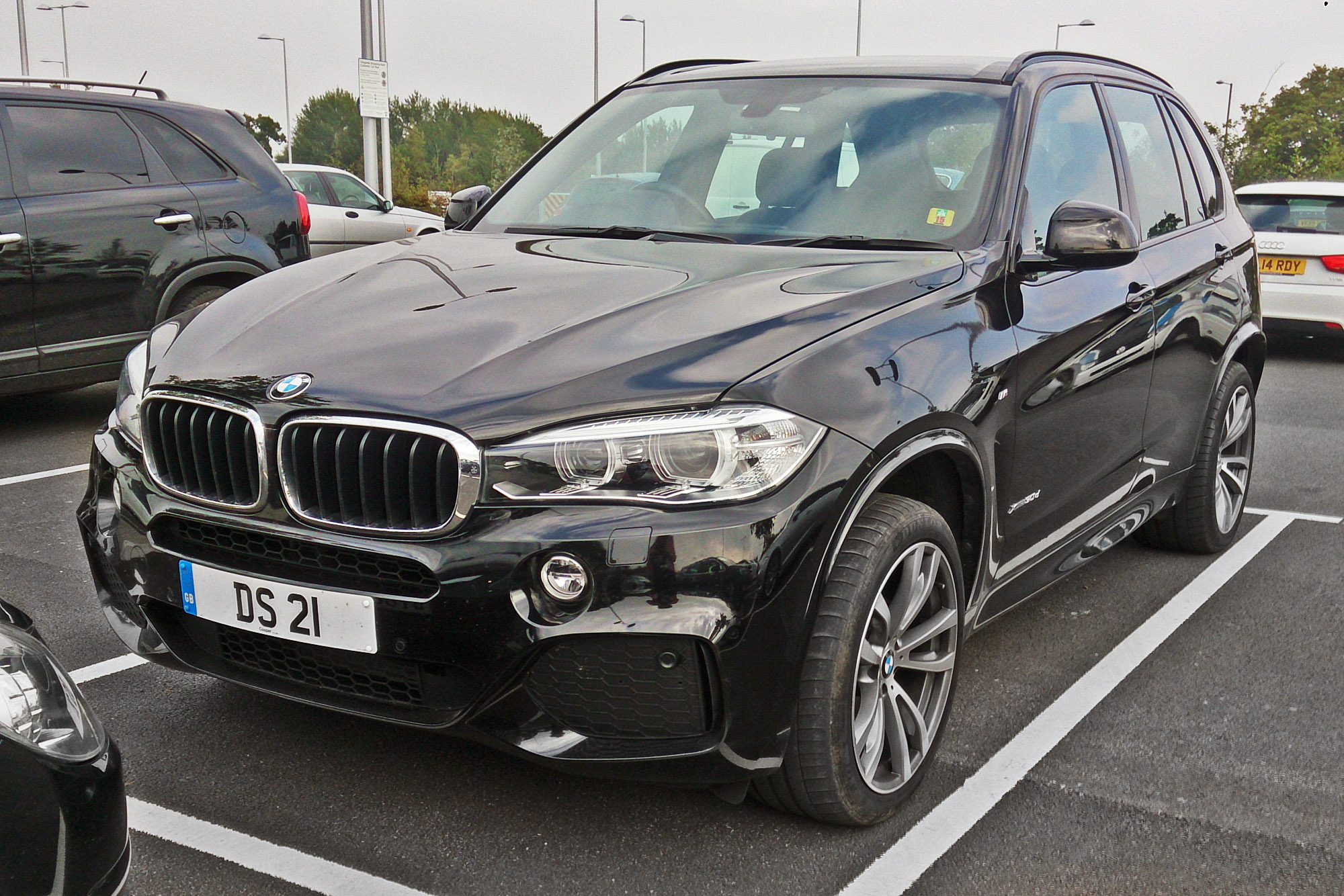 DS21, BMW X5 3rd gen (F15), 2013–2018