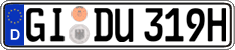 German license plate, Plates for oldtimers (type 