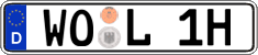 German license plate, Plates for oldtimers (type 