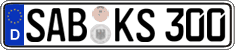 German license plate, Regular plates