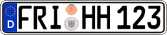 German license plate, Regular plates
