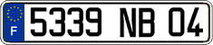 French license plate, FNI