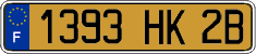 French license plate, FNI