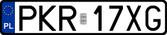 License plates of Poland, Regular car plates