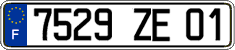 French license plate, FNI