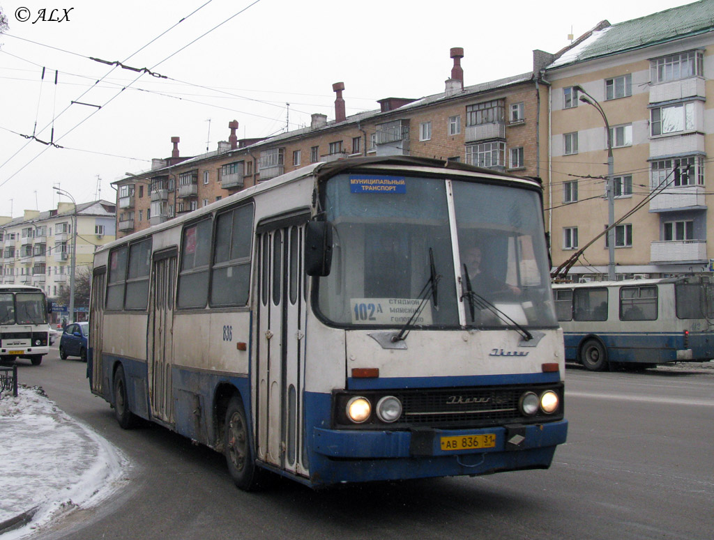 ав 836 31, Ikarus 260 