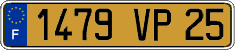 French license plate, FNI