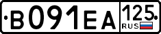 License plate Russia, Cars