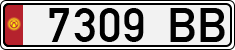 License plate of Kyrgyzstan, Organizations (1994)