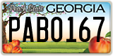 Georgia, ABC 1234