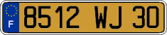 French license plate, FNI