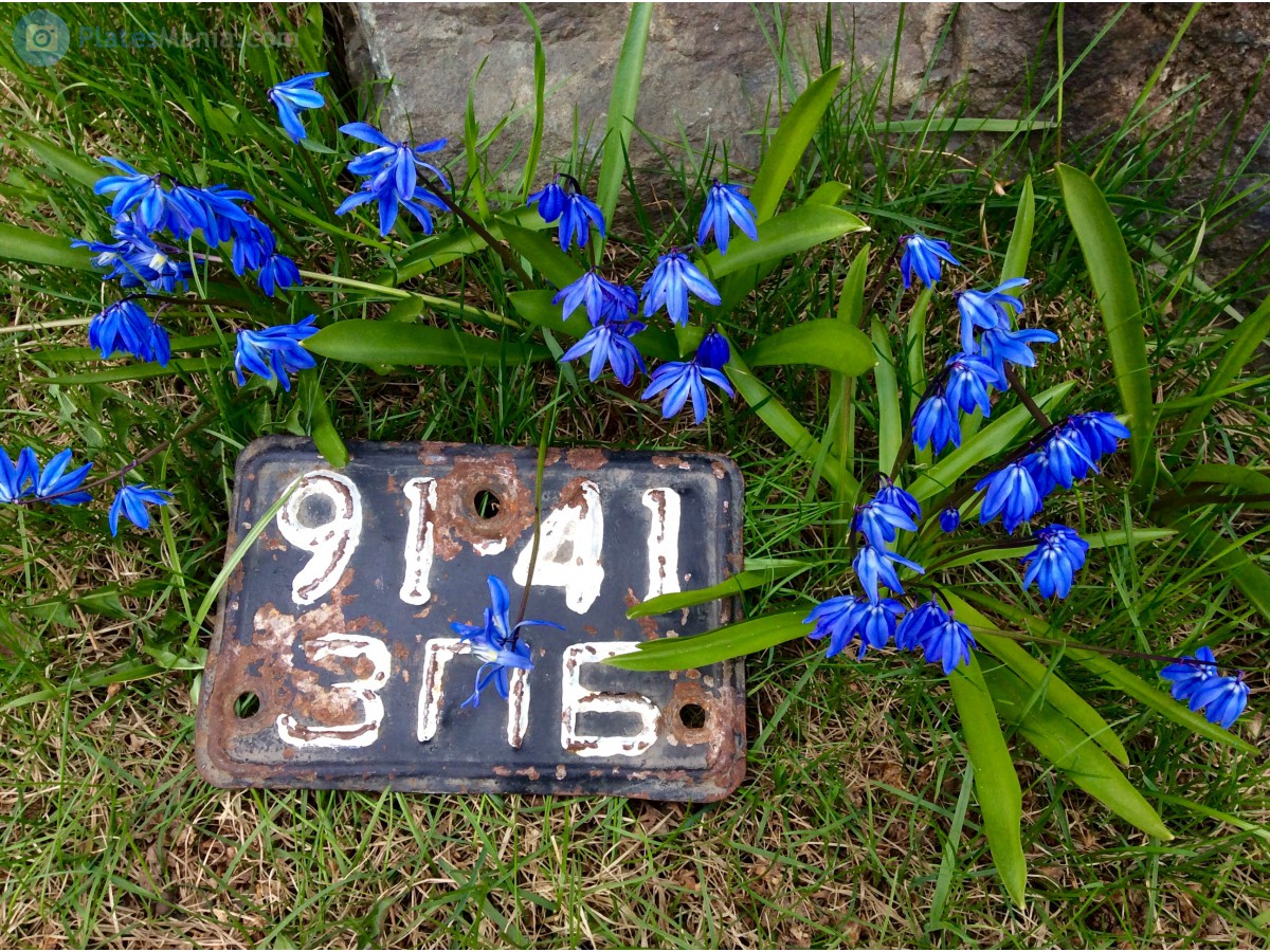 9141 ЗПБ, License plate without vehicle 