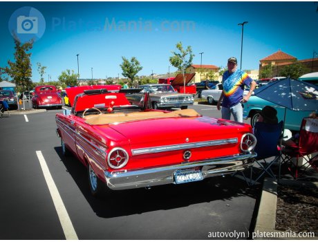 2PMV300, Ford Falcon