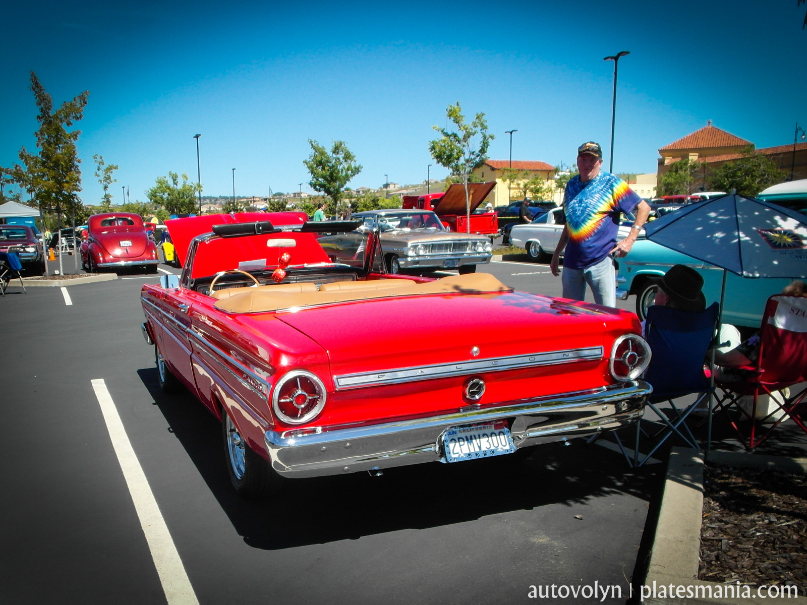 2PMV300, Ford Falcon 