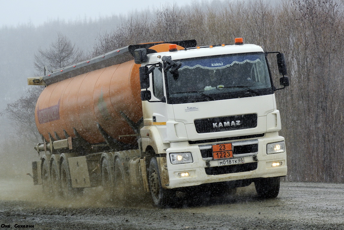м 018 тк 65, KamAZ 6520 65206, 2013–