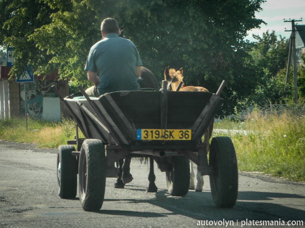 319 SK 36, License plate without vehicle 