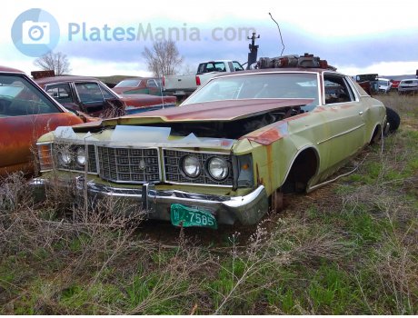 WZ-7585, Ford LTD