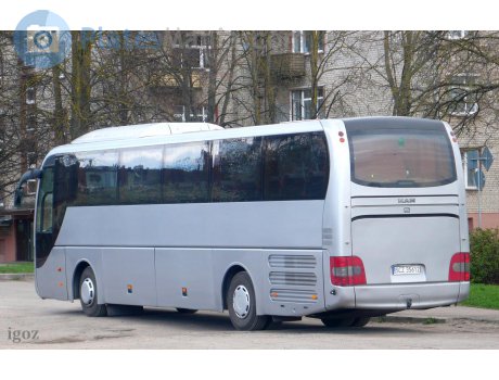 SCZ 35612, MAN Lion