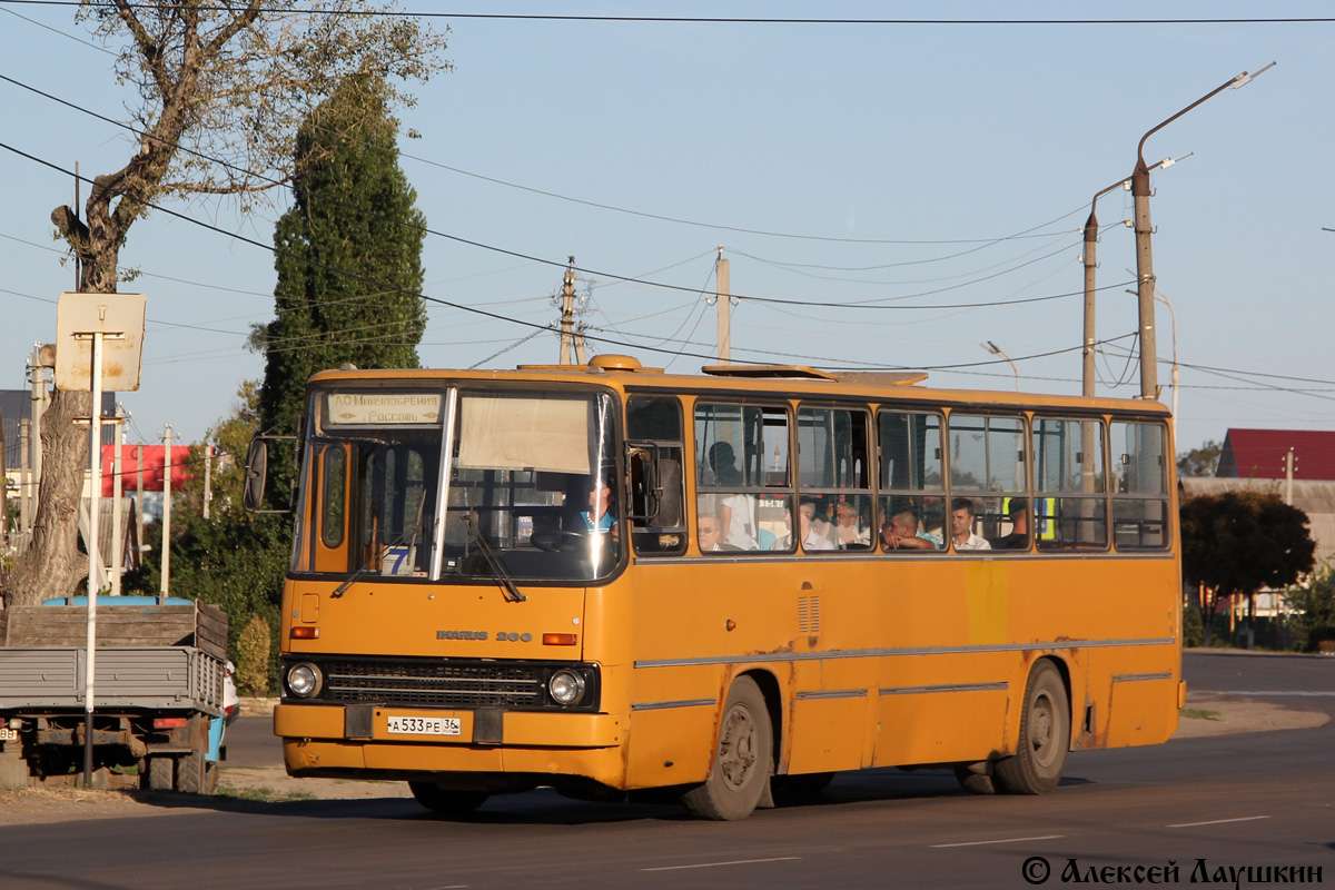 а 533 ре 36, Ikarus 260 
