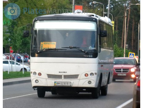 AM 0230 BI, TemSA Samba