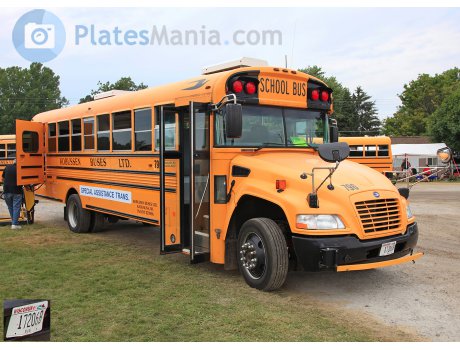 17206B, Blue Bird Vision