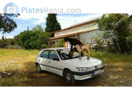 PG BA319, Peugeot 306