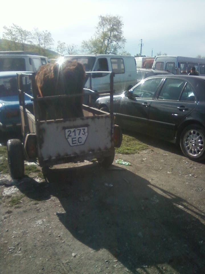 2173 ЕС, Trailers (1977) 