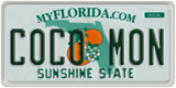 Florida, Vanity Plates