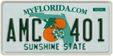 Florida, Vanity Plates