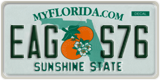 Florida, АBC D12
