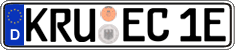 German license plate, Electric vehicles