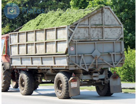 YHP-421, IFA E/HL/HLS/HW