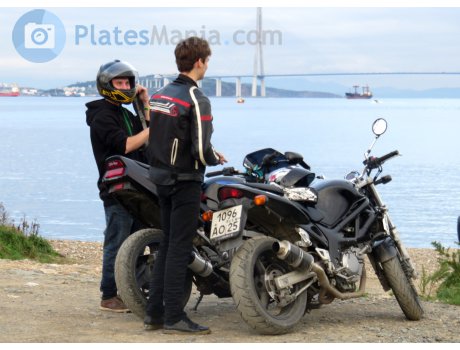 1096 ао 25, Suzuki SV Series