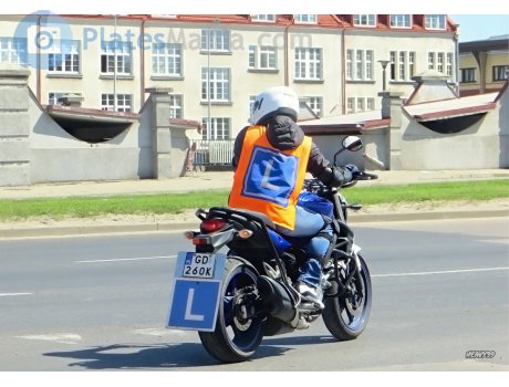 GD 260K, Suzuki SFV Series (Gladius)