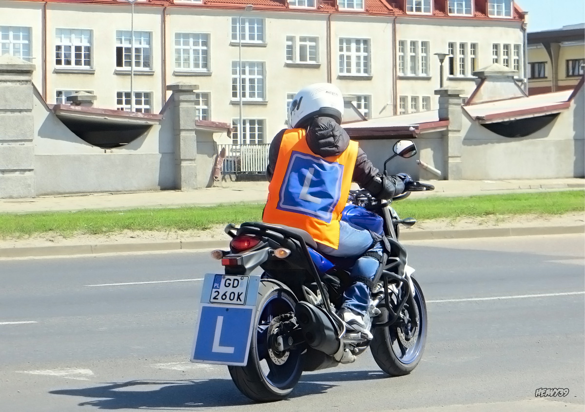 GD 260K, Suzuki SFV Series (Gladius) 