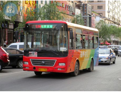 黑G·11736, Yutong ZK6731