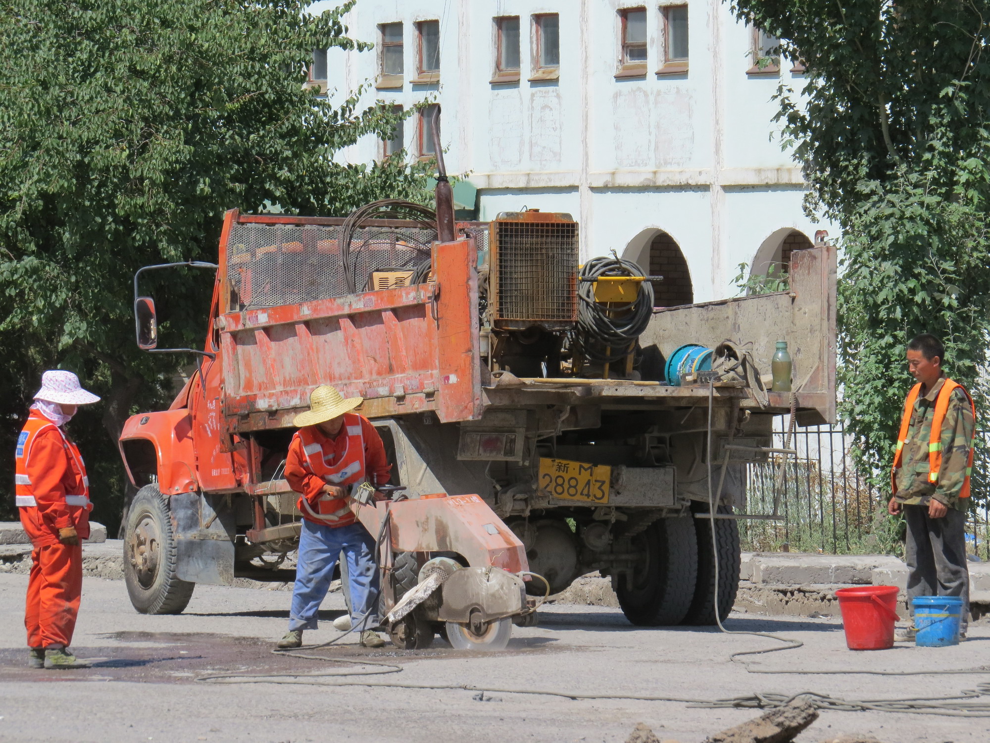 新M·28843, Trucks and buses 