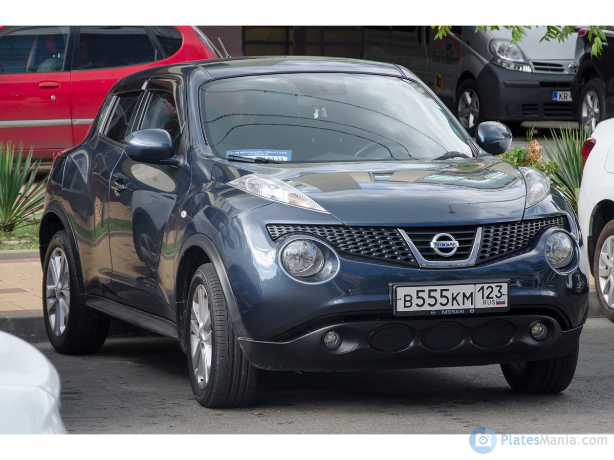 в 555 км 123, Nissan Juke 1st gen (F15), 2010–2014