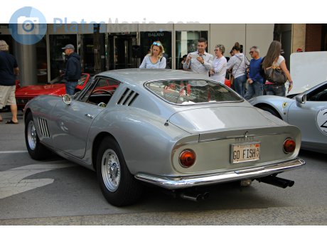 GO FISH, Ferrari 275