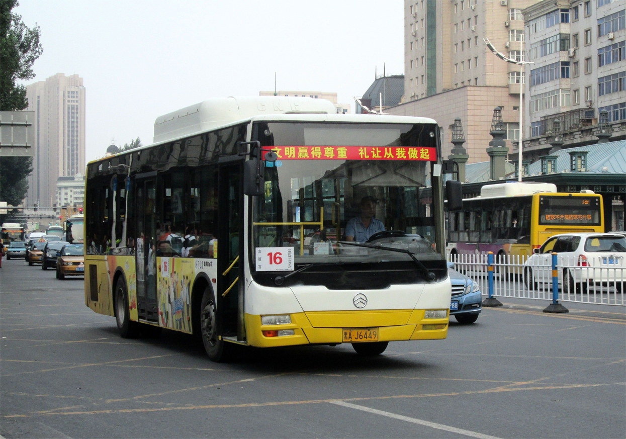 黑A·J6449, Golden Dragon XML6105 