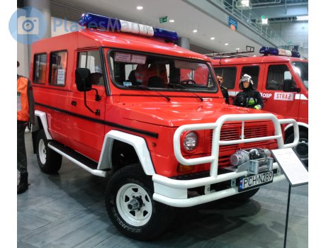 PCH N289, FSR Tarpan Honker