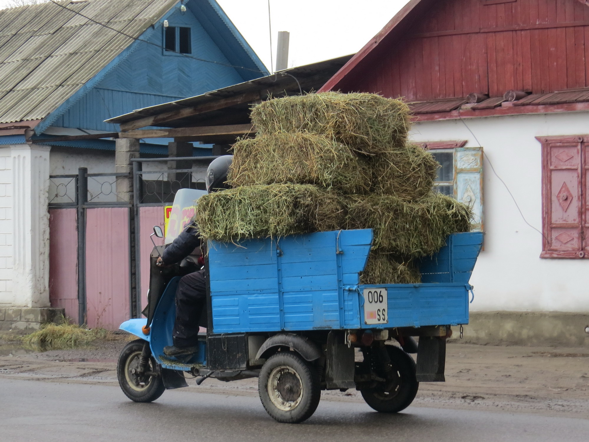 006 SS, TMZ Муравей 