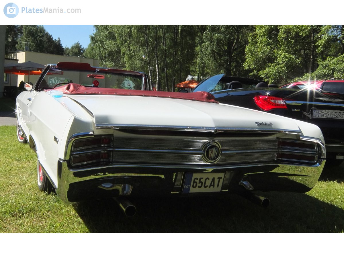 65 CAT, Buick Wildcat 