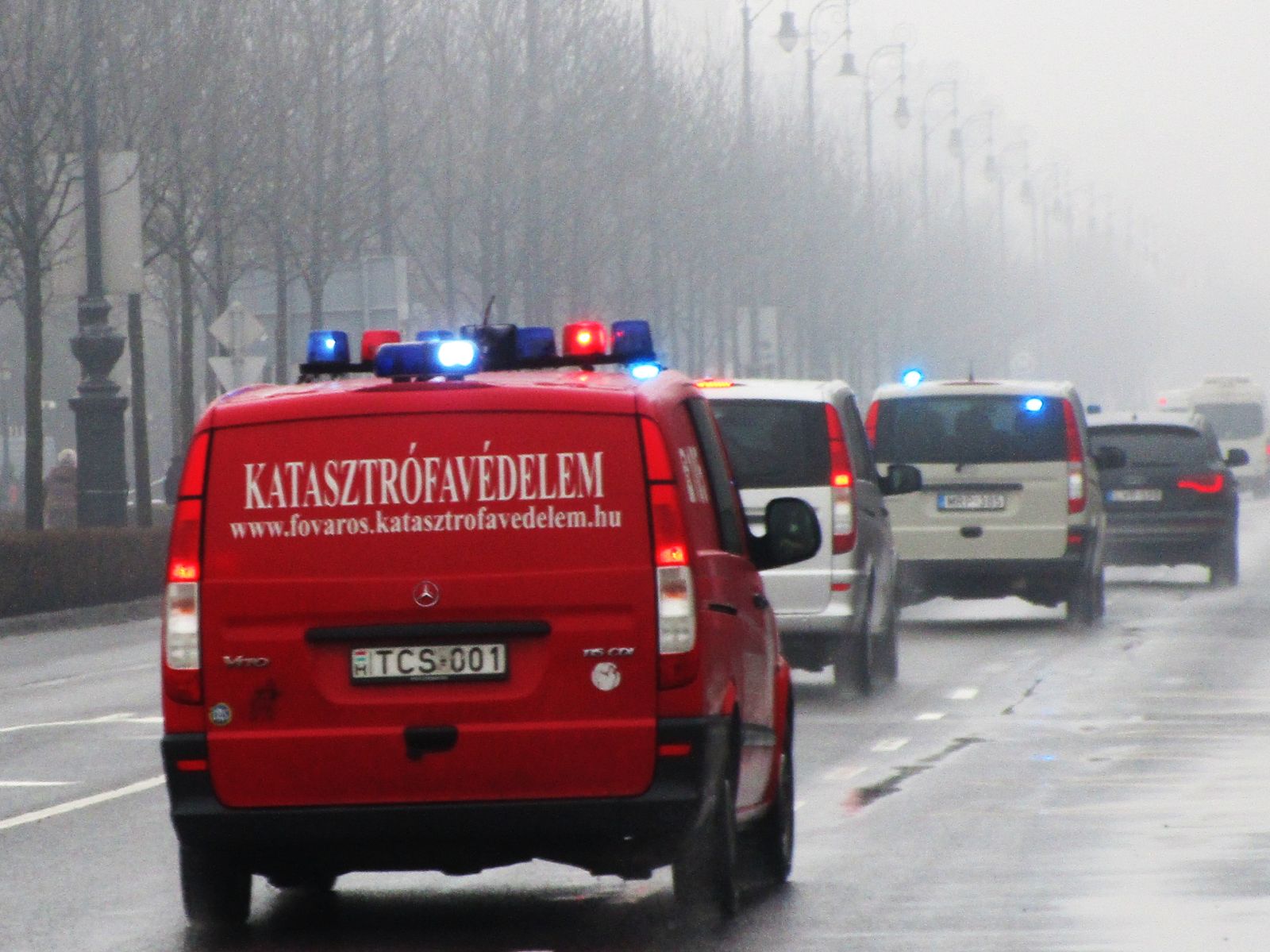 TCS-001, Mercedes-Benz Vito 2nd gen (W639), 2003–2014